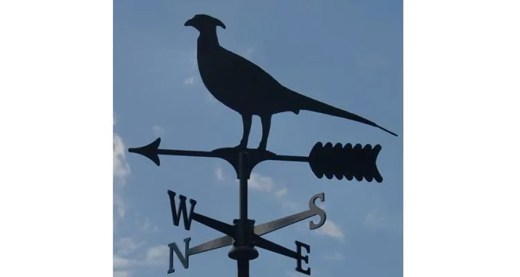 Pheasant Weathervane